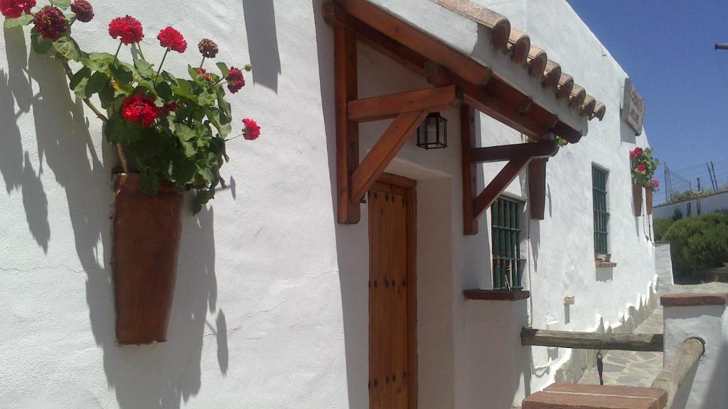 Вілла Casas El Molino Вехер-де-ла-Фронтера Номер фото